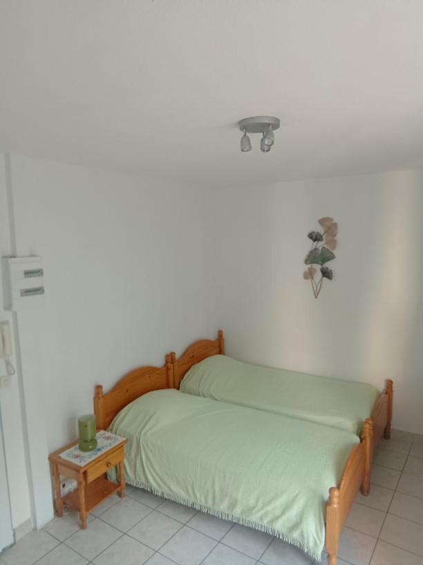 Apartamento Christiane Cere Amélie-les-Bains-Palalda Exterior foto